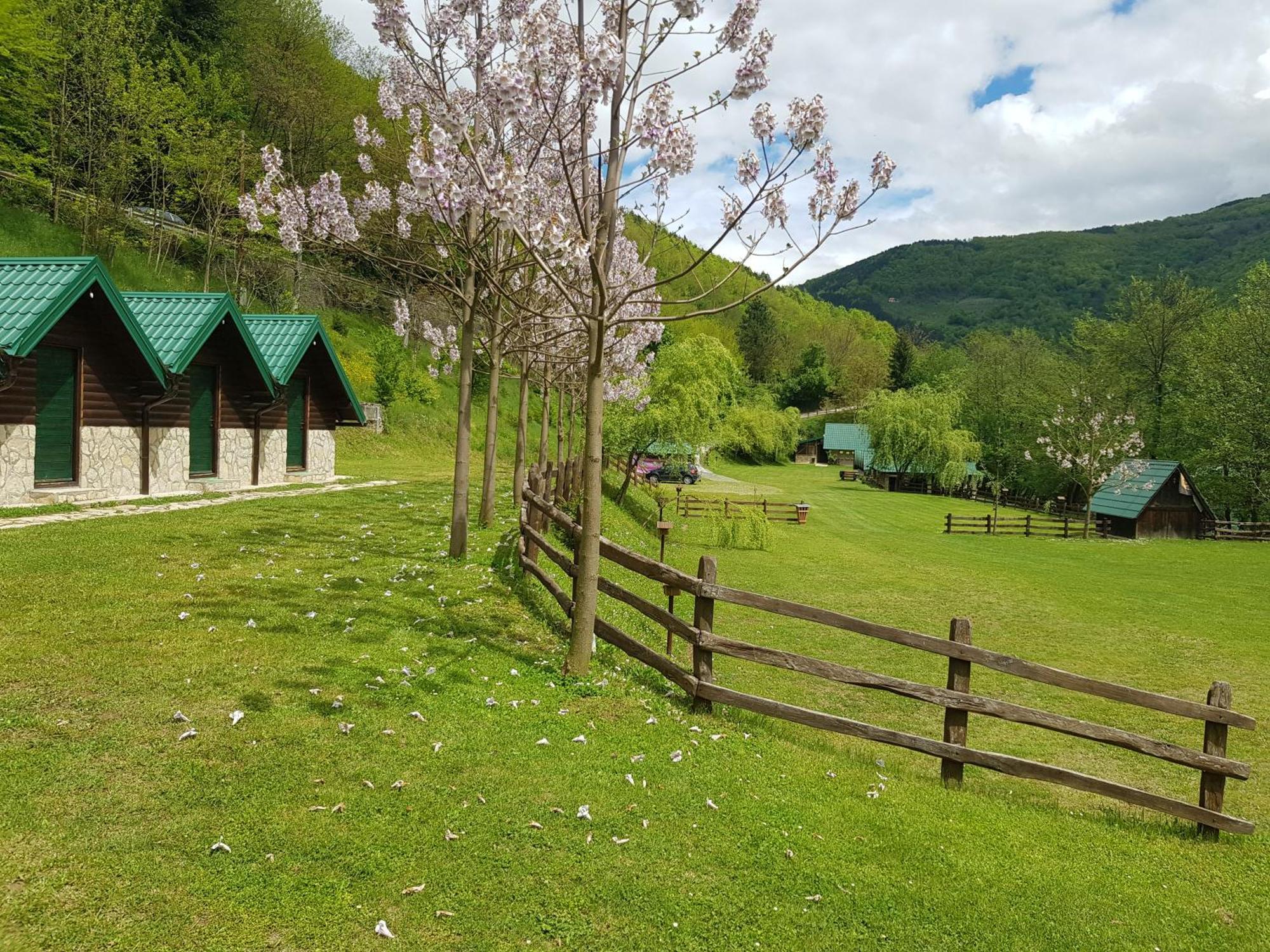 ホテル Camping Drina フォチャ エクステリア 写真